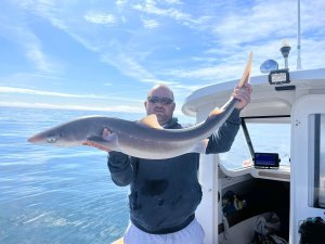 Dean Bailey with a Spurdog of 20lb 11oz